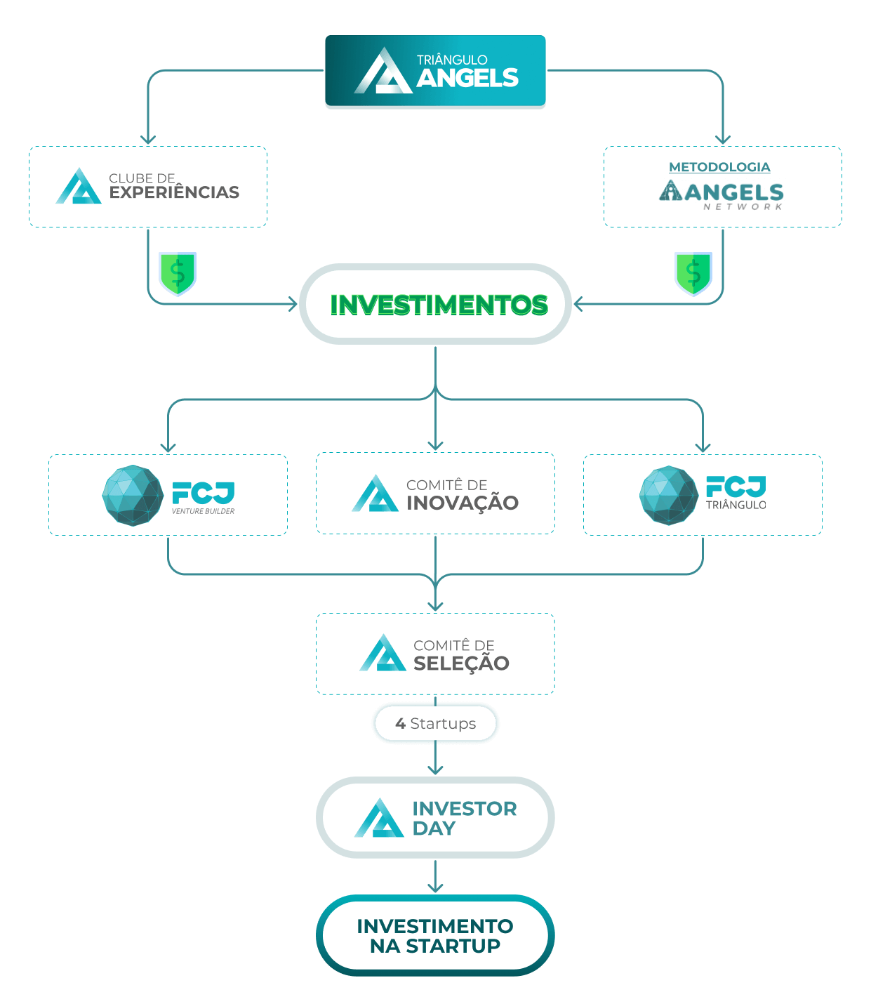 Esquema gráfico onde mostra todo o processo de seleção de startups; da seleção saem 4 startups para o Investor Day, uma conferência entre investidores anjos associados  e startups selecionadas, nesse momento, já passivas de aporte financeiro.