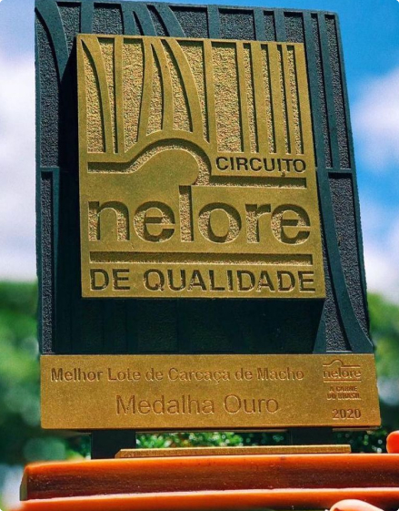 Premiação Circuito Nelore de Qualidade